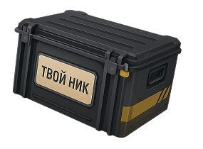 Кейс